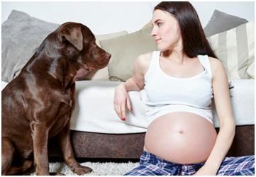 你还在对这些生宝宝的谣言深信不疑?别傻了!