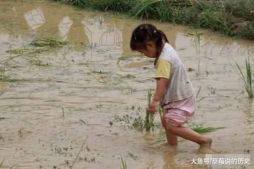 农村如果全面放开三胎，会不会迎来人口增长高峰期？答案已被证实