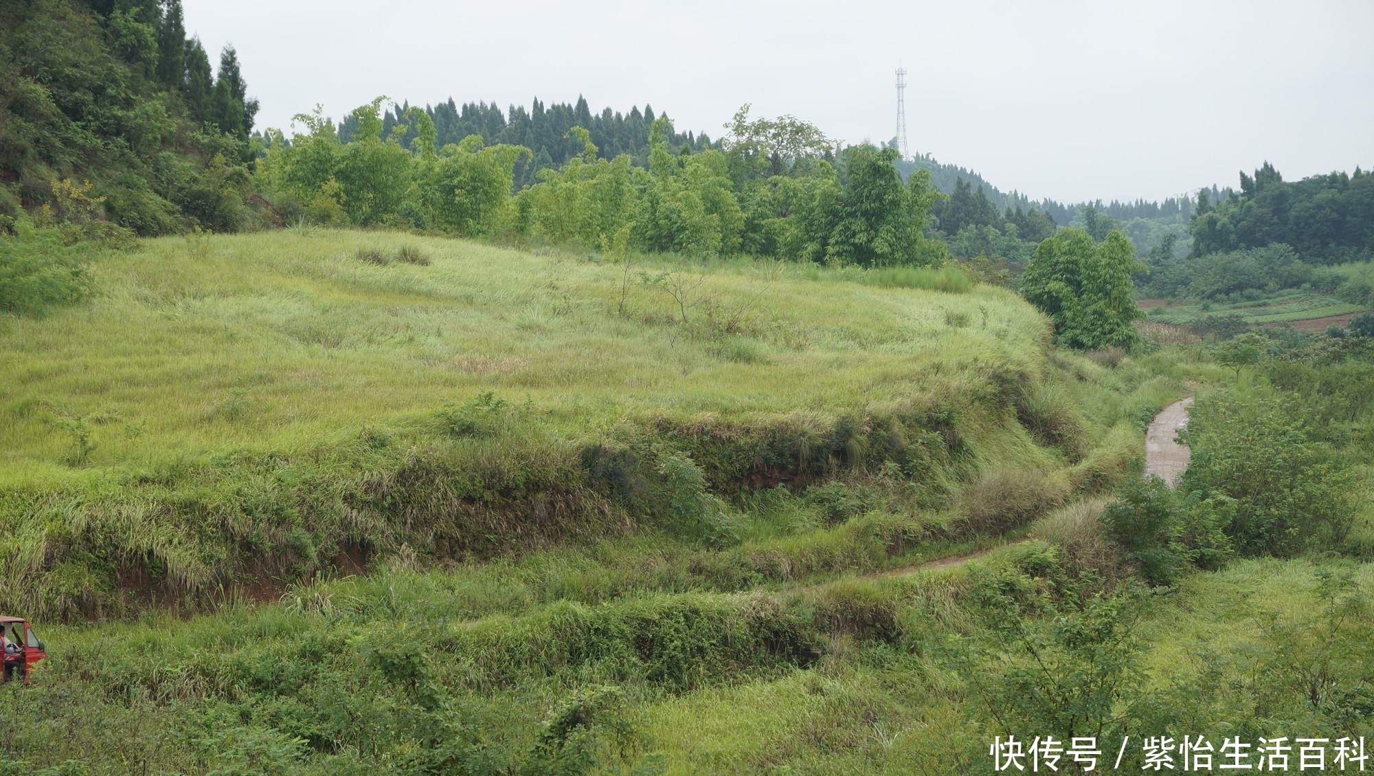  【条件】农民有偿永久退出土地，需要满足这样的条件，早了解早