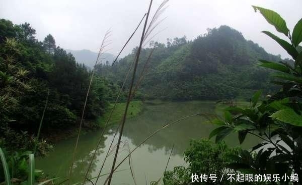 顾不上:野河钓鲫,环境优美,恰似人间天堂,却遭遇“电工”洗劫