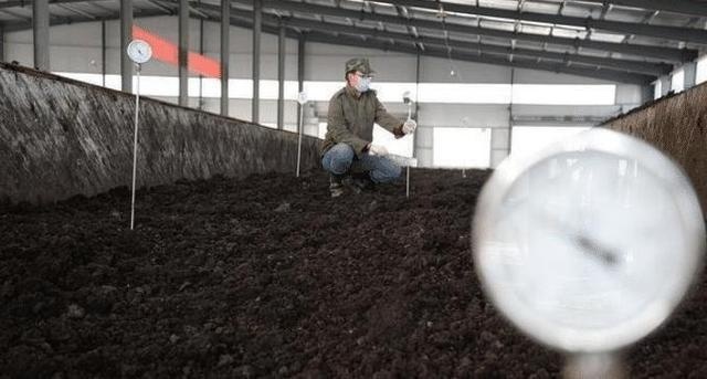 隐藏在农村的五大暴利行业