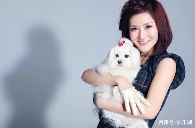 《流星花园》：道明寺不服谢娜！谢娜发微博回应！网友：看不懂！