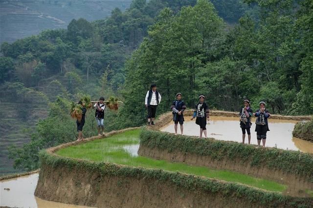  秧门■乡土散文：喝酒吃肉开秧门