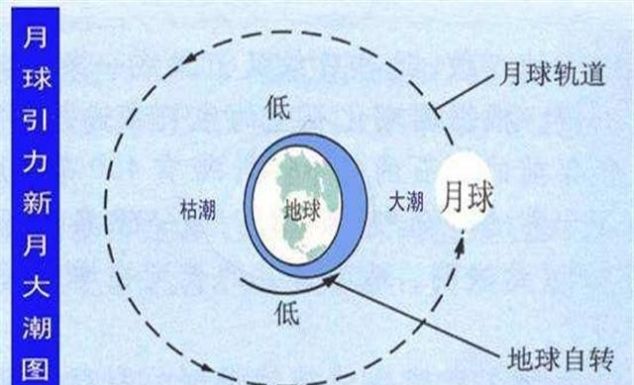 大海退潮的时候, 海水都去哪里了? 看完解开多年“疑惑”