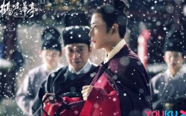 鹤唳华亭属于什么剧