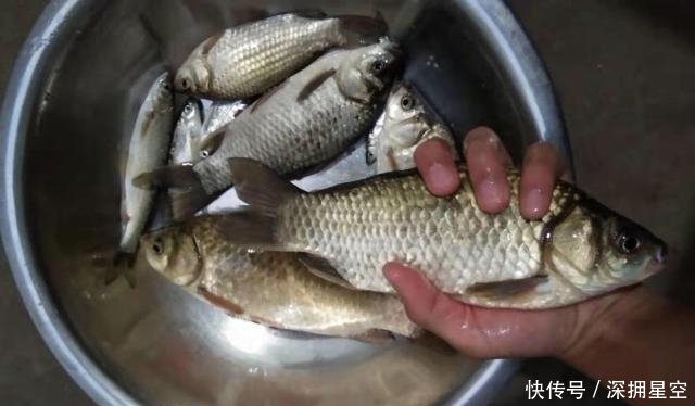  #添加#这个职业学钓鱼最容易，毕竟他们本身就有优势