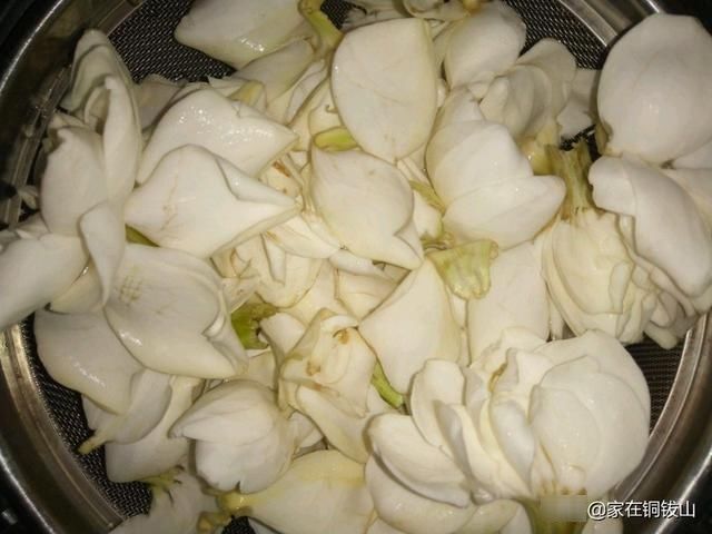  『栀子花』栀子花，观赏之后别浪费!凉拌栀子花，清热去火，夏季最配的美食!
