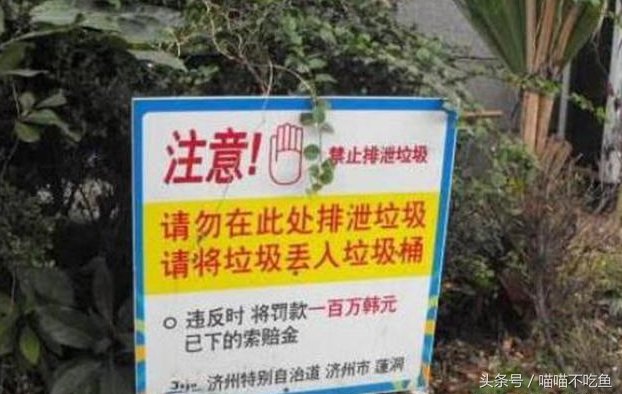 去趟日本韩国旅游，满大街中文提示，游客:不玩了，回家!