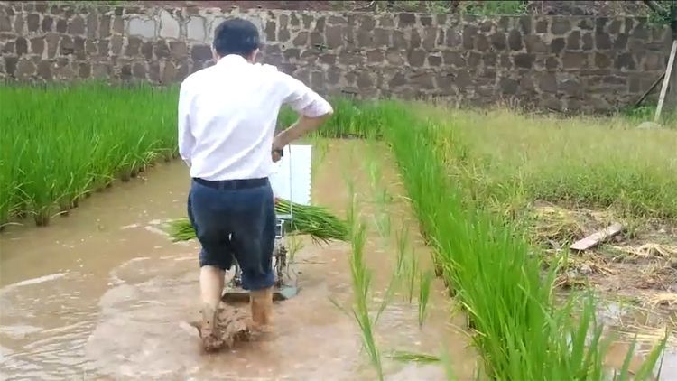  民间|民间牛人发明“手摇式”插秧机，不用油不用电，200元造一