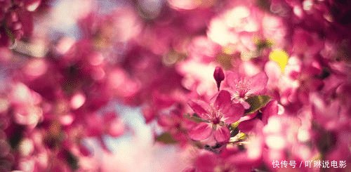  【气质】有内涵、有思想，最具有内在美，也最让人喜爱的四大星座女