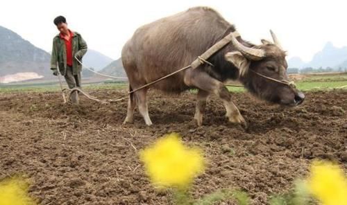  养老金@退休时领取养老金和档案有什么样的关系？档案丢失可以领