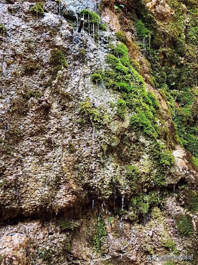 隐藏在湖北的这片仙境，美到窒息，却低调了多年！