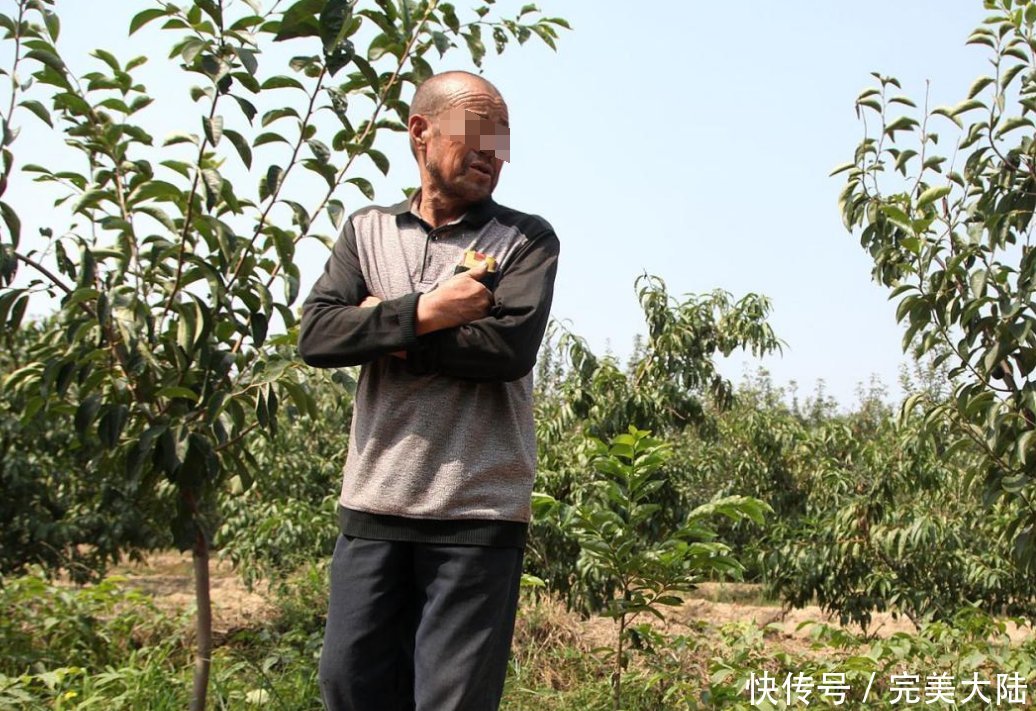  「一夜之间」65岁农民种植了一种稀有水果接近成熟，一夜之间被