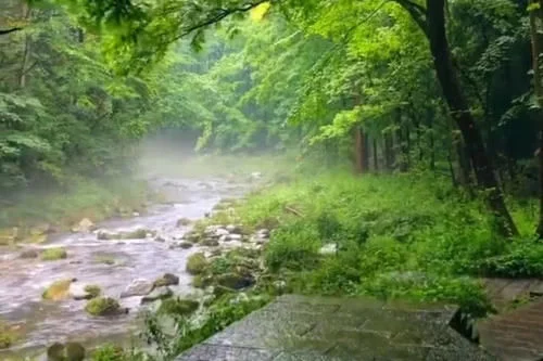 这里风景美如画“硬核”吟诗赠天下:谁家玉女桥上过,好似漫步水中仙【2020热门旅游景点】