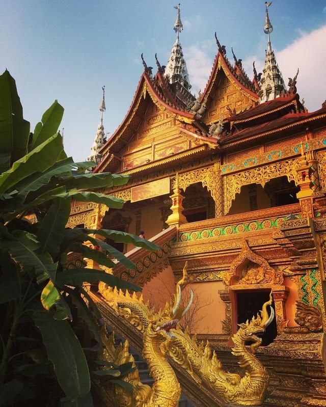 是什么魅力让这么多人自驾去西双版纳过春节，看了你就知道！