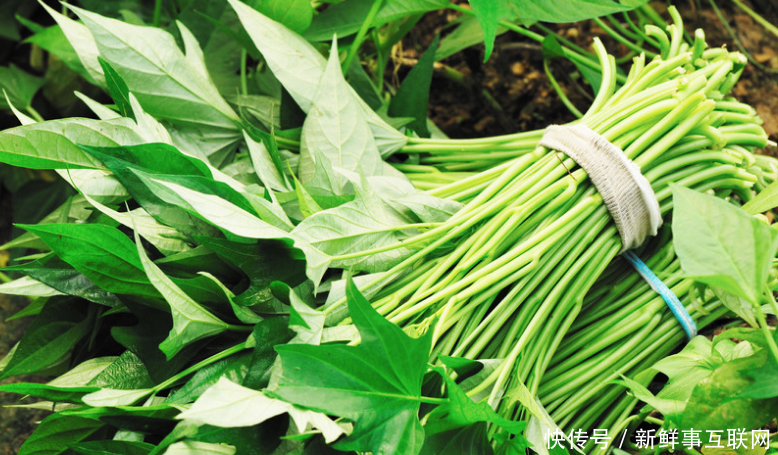 女人怕老、怕胖，常吃此野菜，肌肤光滑有弹性，体重蹭蹭往下降！