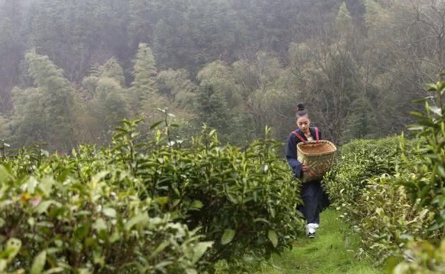 如何像李子柒一样火爆朋友圈？这一组绝美照片会给你答案！