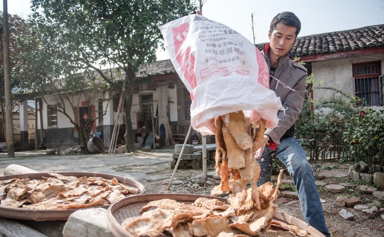 36岁农民解散IT公司，回农村干起了这个，半年就赚到了15万