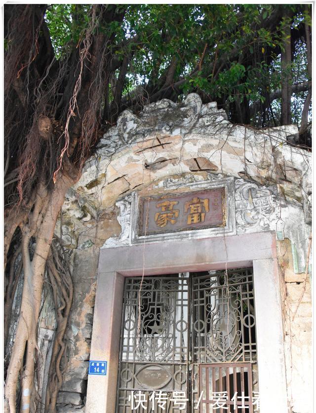 「鸽子」顶澳仔猫街撸猫、白鹭洲喂鸽子,厦门文艺之旅,去过才算没白来!