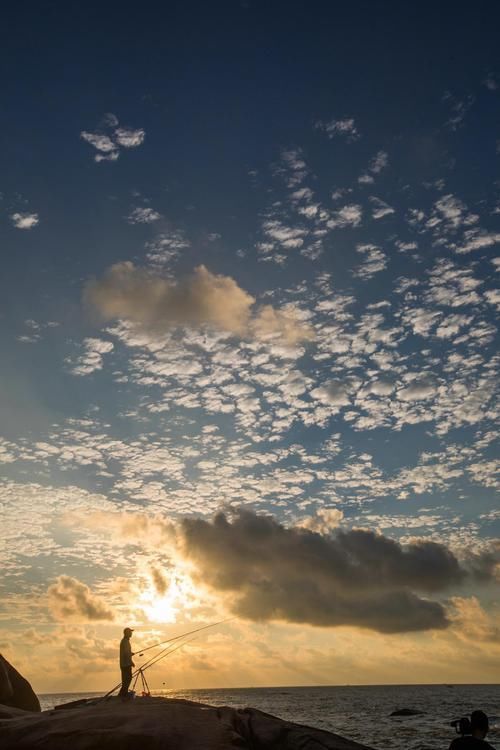 如鹿饮溪，似鲸入海，百年老宅最强改造，这才是魂牵梦萦的设计