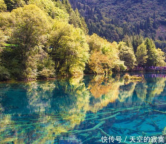 第一次去九寨沟要先看这篇!旅游攻略大全,教你去九寨沟轻松游