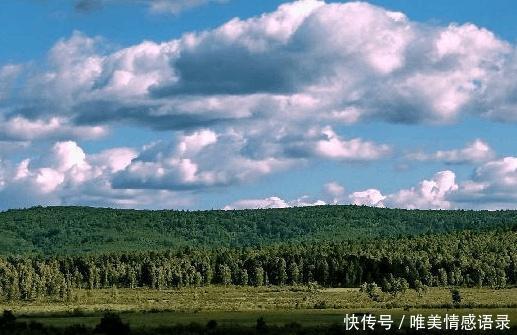 全球最大治沙工程40年治沙5000万亩，改变半个中国命运！