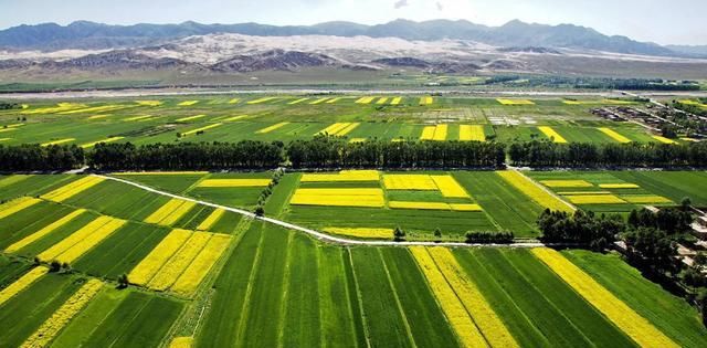  「被打」农村土地疯狂“退租潮”的背后，有多少专家被打脸