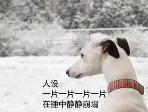 破案了!Angelababy假吃，汪苏泷假吹的原因都在这里!