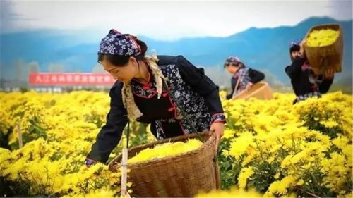 江西最有“实力”的小县城，旅游资源非常丰富，被誉中国美女之乡