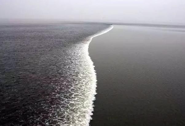 孟浩然最经典的一首诗，只是开头五个字，便令人拍案叫绝！