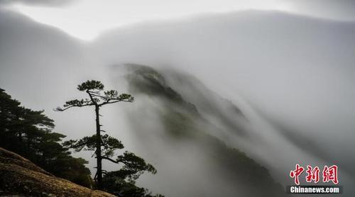 雨后黄山现罕见“瀑布流云” 宛如水墨画卷