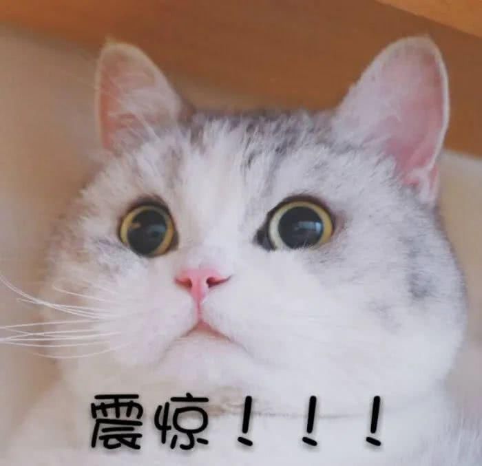 路边|温岭一轿车撞上路边民房,3人被拘留?怎么回事......