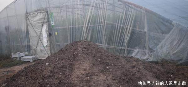 农村老话说“一把猪粪一把粮食”，为什么养殖却有污染呢