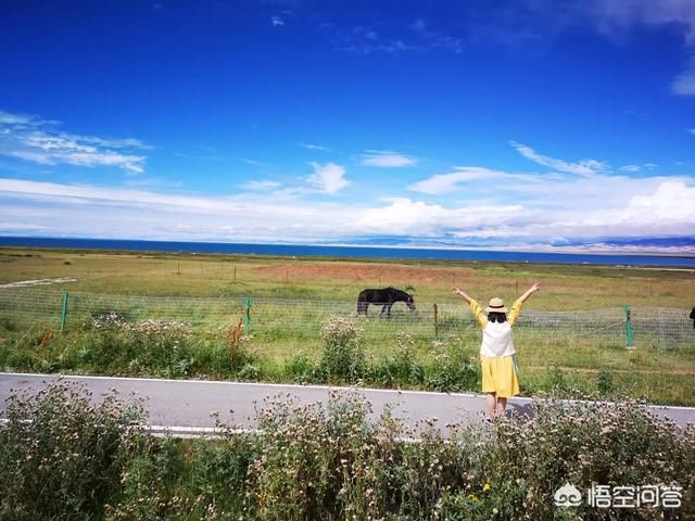 出门旅游拍照用手机还是相机？为什么？