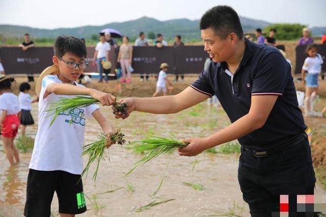  收菜：杨颖素颜和小海绵收菜，郭晶晶带着儿子下田，体验劳动真的很重要