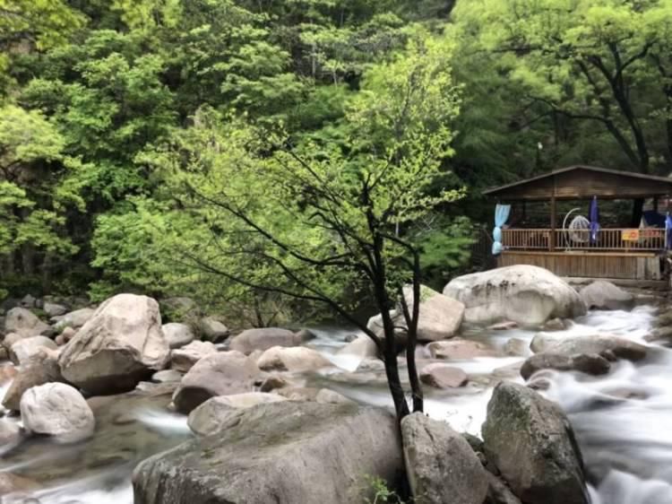  [九水]雨后的九水瀑布飞流直下 九水游览区进入全年最佳观赏期