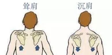  「肩颈线」女生斜方肌大导致溜肩？建议从这两方面调整，带你塑造漂亮肩颈线