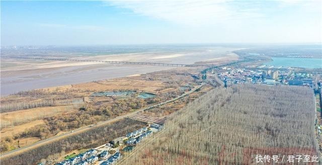  【生态】金视界丨黄河生态廊道：百万新苗初长成 蜿蜒起伏美如画