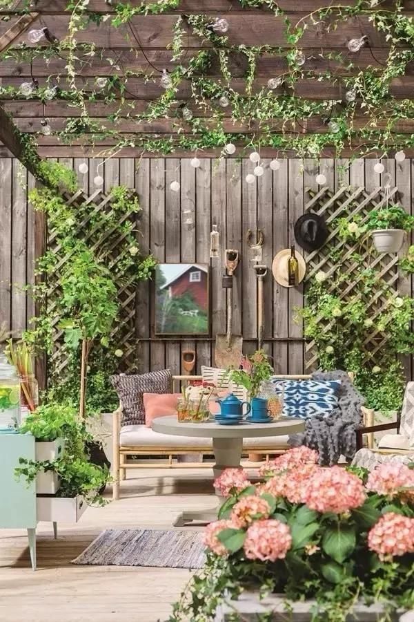 回农村 早院子，可劲造