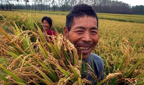 明年开始，农村3项费用全部免费，农民别傻傻交钱，村委收也不行