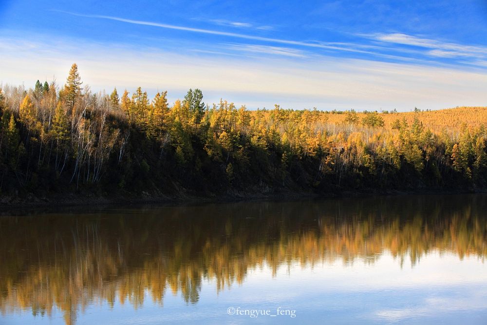 大兴安岭特大火灾澳洲火灾