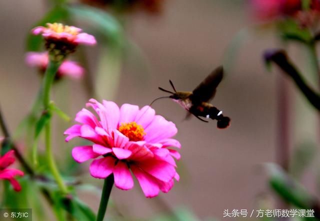 孩子即将面临中考,妈妈该怎么做?家长该怎么做