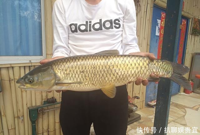  「封过」昆明禄劝封过水库：典型钓点案例，详解野钓灌溉水库钓鱼攻略
