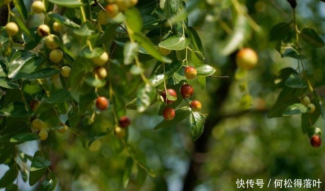 山西运城农家,上个世纪70年代场景再现,看啥样子