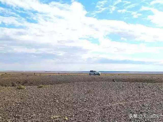 新疆17个捡宝石、玉石的地方 ！