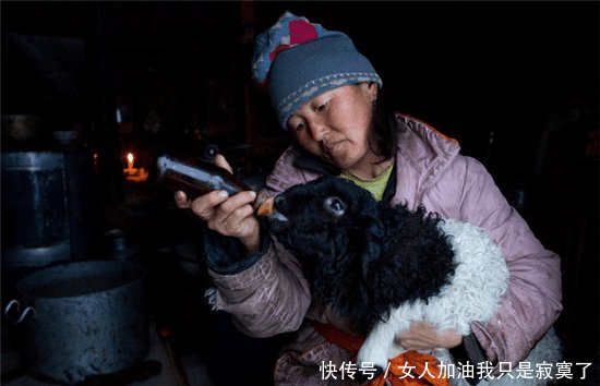  「差距」外蒙古与内蒙古牧民冬季生活的对比, 差距太大