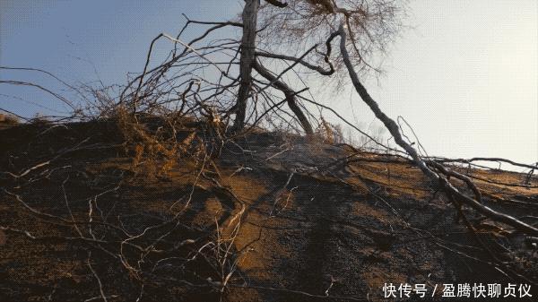 这部纪录片央视发力了,每一帧都可以当壁纸,BBC也无法超越