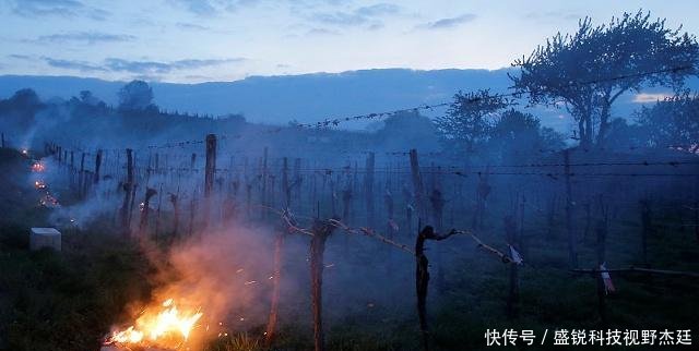  [秸秆]黑龙江9月秋收开始秸秆再次成难题，不让焚烧秸秆农民犯了