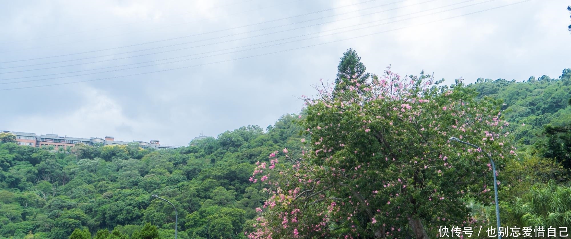  发展速度：中国最“迷你”的省会，面积还没有一个县城大，却是