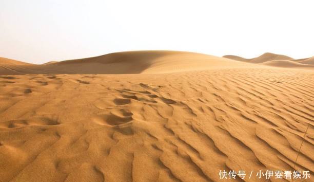 跨越十万里沙漠,只为看一个小水坑,很多人都说不枉此行